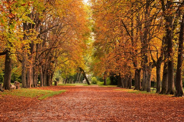 What Are the Best Styles of Architectural Heels for a Modern Art Event?